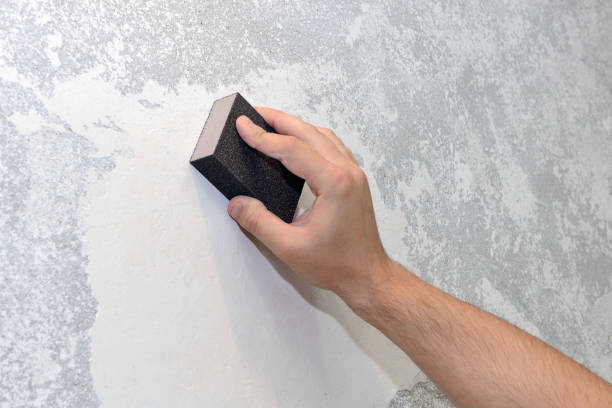 Best Dehumidification Services  in Lebanon, OR
