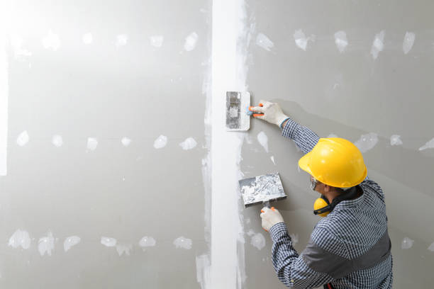 Best Biohazard Mold Removal  in Lebanon, OR