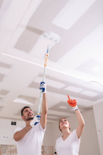 Best Comprehensive Air Testing for Mold Contaminants  in Lebanon, OR