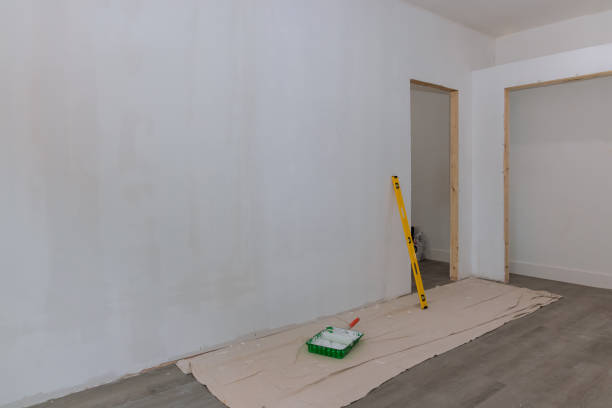 Best Mold Documentation for Insurance Claims  in Lebanon, OR
