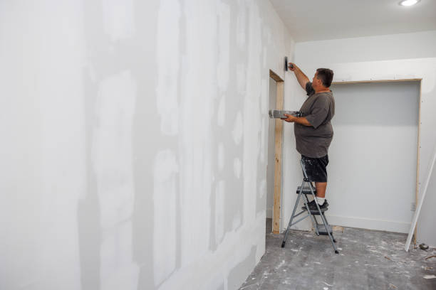 Best Emergency Mold Remediation  in Lebanon, OR
