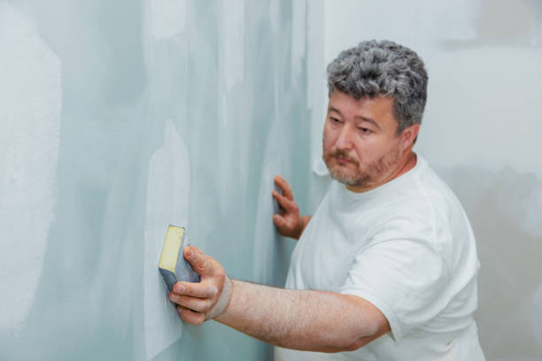 Best Mold Damage Restoration  in Lebanon, OR
