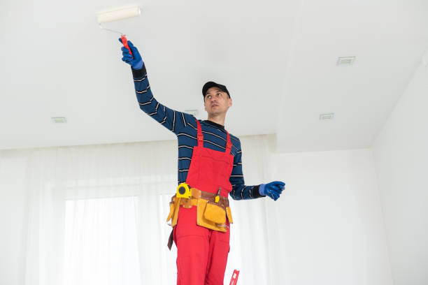 Best Mold Removal for HVAC Installations  in Lebanon, OR