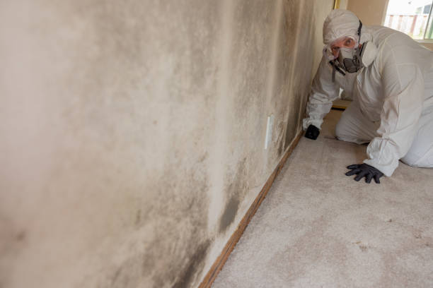 Best HVAC Mold Inspection and Cleaning  in Lebanon, OR